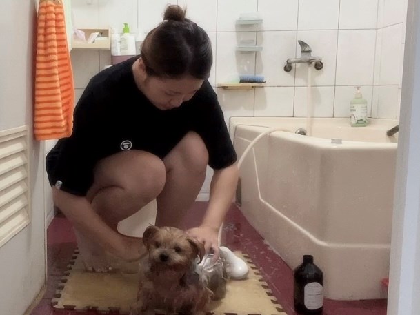 女人知己試用大隊,口碑行銷,部落客行銷,Downy Belly毛肚子,Downy Belly 保濕滋養胺基酸洗毛精,紅球薑淨膚配方,Downy Belly 保濕滋養胺基酸洗毛精-紅球薑淨膚配方,洗品天生防禦力，皮膚天生就很強,除了洗乾淨，其他的真的先不用,胺基酸清潔因子,好的界面活性劑，才能好洗,好沖淨,不易殘留,適量的細緻泡泡,狗貓皆適用,加拿大毒物學家安全把關,100%環保回收料再製瓶器,零廢棄為目標,低敏洗毛精,寵物訓練師好評,Downy Belly毛肚子,Downy Belly 皮膚救急胺基酸洗毛精,IPMP舒緩配方,Downy Belly 皮膚救急胺基酸洗毛精-IPMP舒緩配方,洗品天生防禦力,皮膚天生就很強,除了洗乾淨,其他的真的先不用,胺基酸清潔因子,APG+胺基酸清潔因子,IPMP高安全的成分,好的界面活性劑,才能好洗、好沖淨、不易殘留,適量的細緻泡泡,狗貓皆適用,加拿大毒物學家安全把關,100%環保回收料再製瓶器,零廢棄為目標,低敏洗毛精,寵物訓練師好評